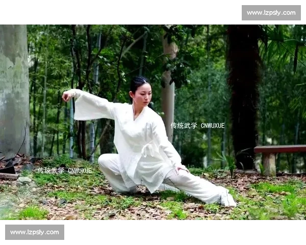 太极与现代搏击正面对决 传统武学的实战价值究竟还能不能打动年轻人 太极与现代搏击正面对决 传统武学的实战价值究竟还能不能打动年轻人